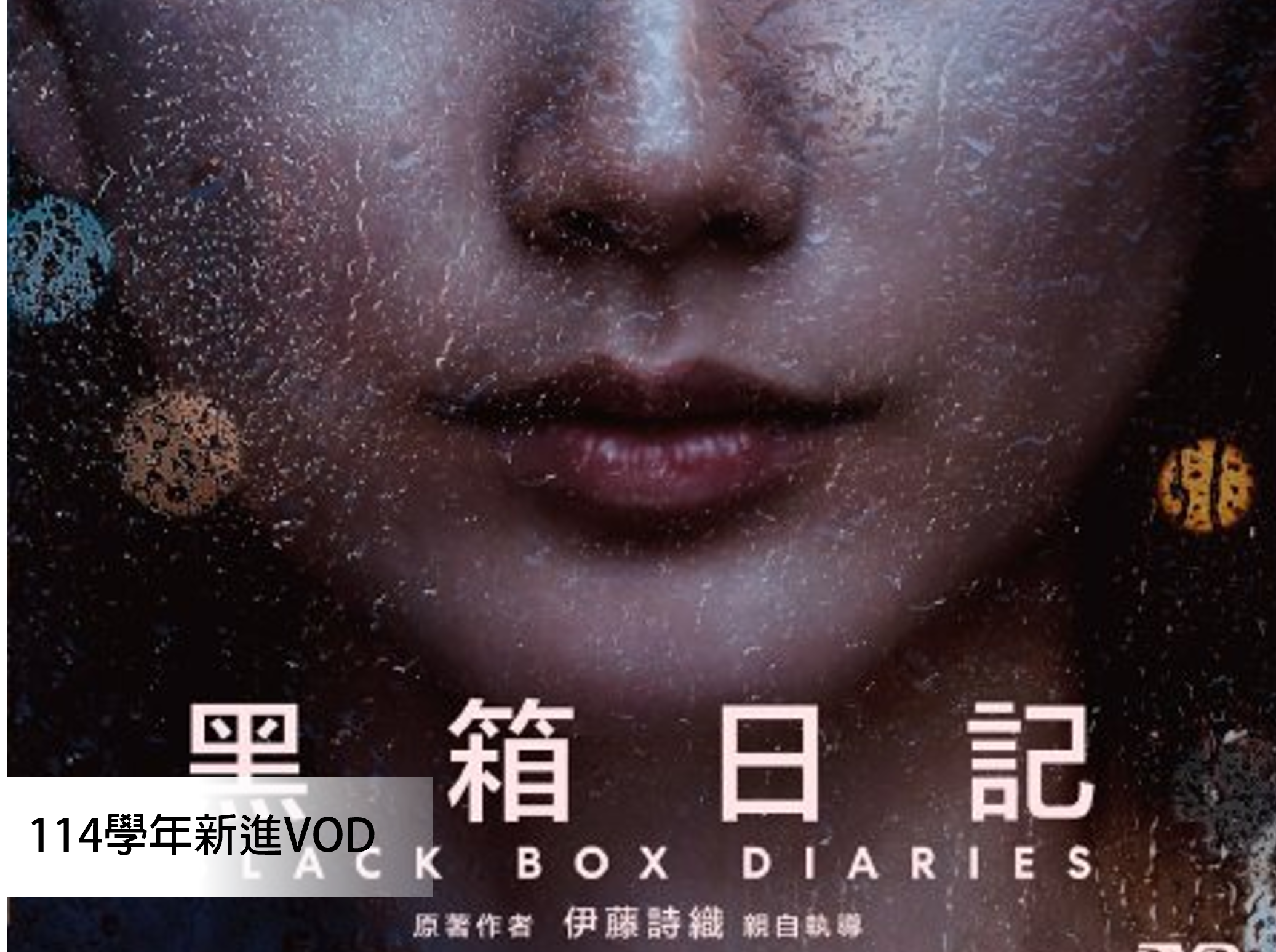 黑箱日記 Black Box Diaries